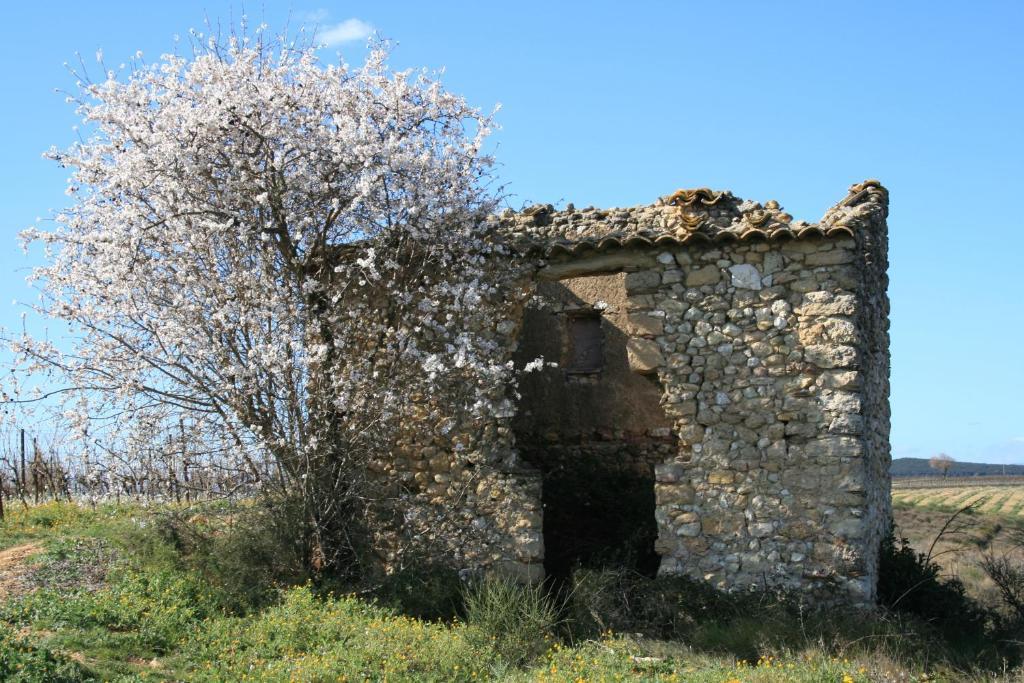 Auberge Du Chateau Margon  Exterior photo